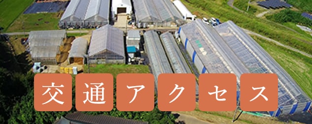 交通アクセス